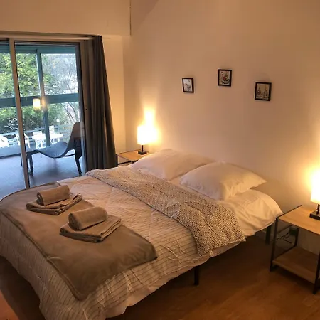Villa Prune 200M 5 Chambres Avec Piscine Et Garage Villa Aix-les-Bains